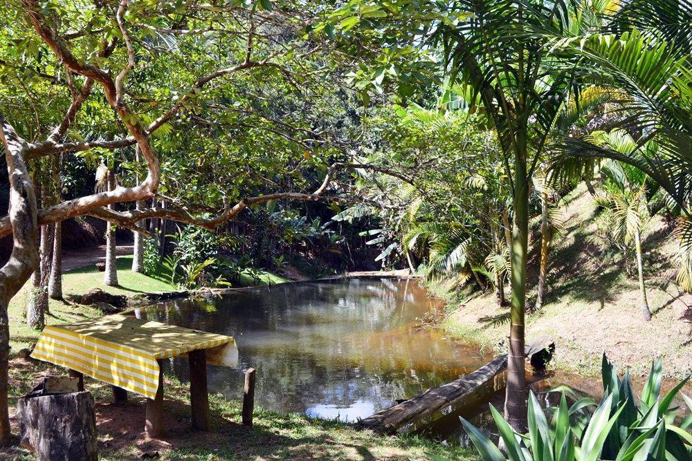 Pousada Recanto Da Mata Marechal Floriano Exterior foto