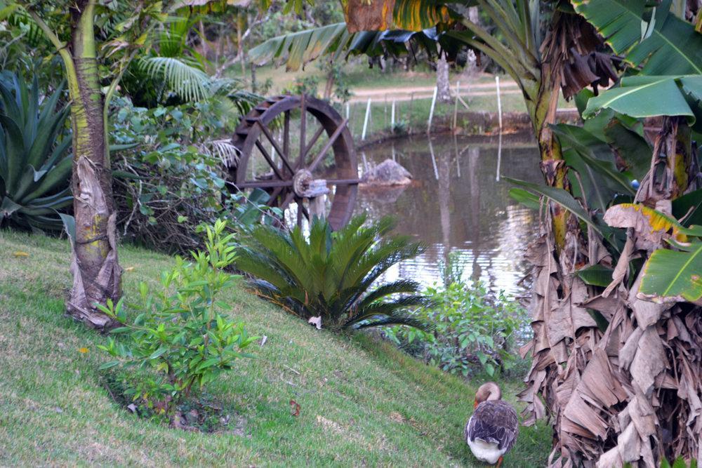 Pousada Recanto Da Mata Marechal Floriano Exterior foto
