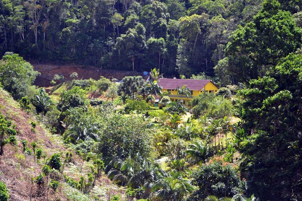 Pousada Recanto Da Mata Marechal Floriano Exterior foto