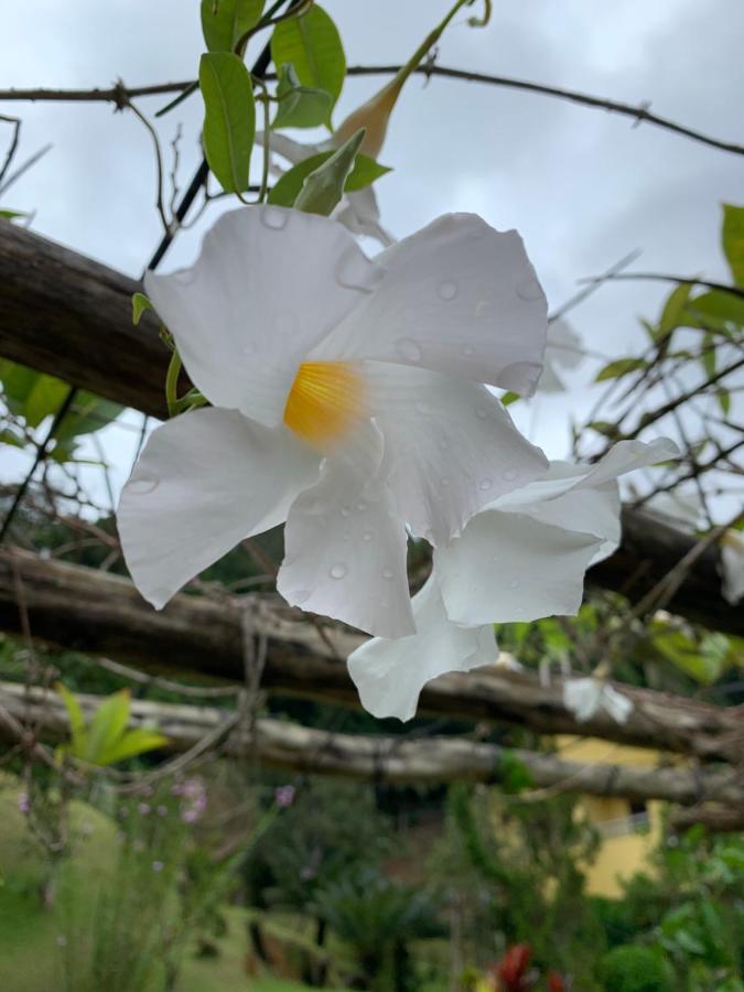 Pousada Recanto Da Mata Marechal Floriano Exterior foto